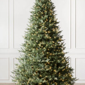 6ft Balsam Fir Christmas Tree with Lights