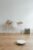 Dyson Nurovi Robot Vacuum Lineup: R1, R2, and the Coming R3 Compared